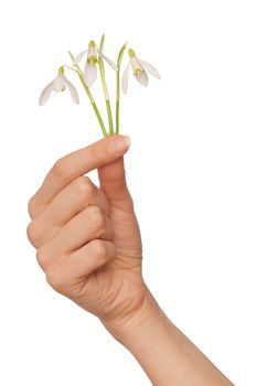 woman holding snowdrops as a symbol of spring
