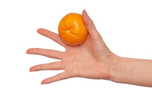 Fresh mature Spanish tangerine in the hand