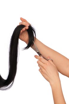 hairdresser cutting young woman with long black hair