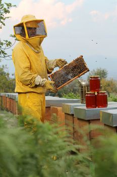 Beekeeper with beehives and honeycomb. Beekeeper looks at camera