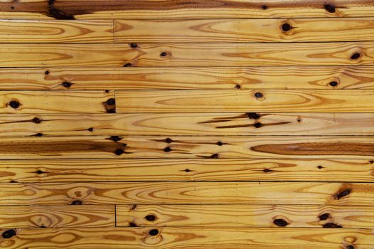 Wood Texture