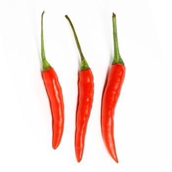 red hot chili pepper isolated on white