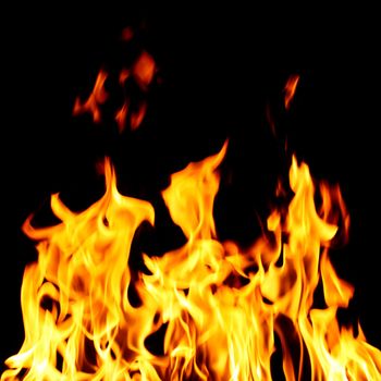 inferno flame fire on black background close up