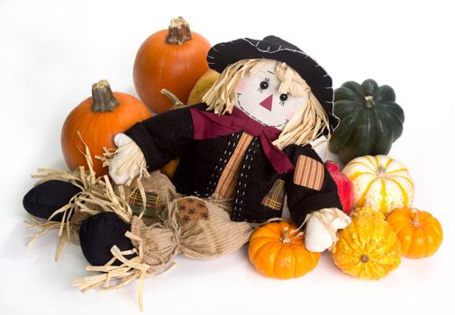 Harvest scarecrow laying on a bed squash, fairytale, cinderella, and Halloween pumpkins.