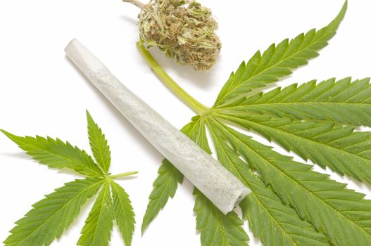 marijuana cigarette and green Leaf Isolated on white background

