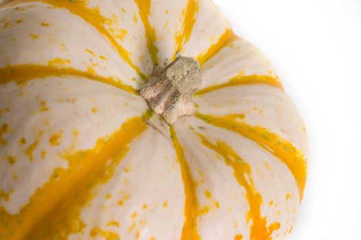 Fairytale pumpkin isolated on white background