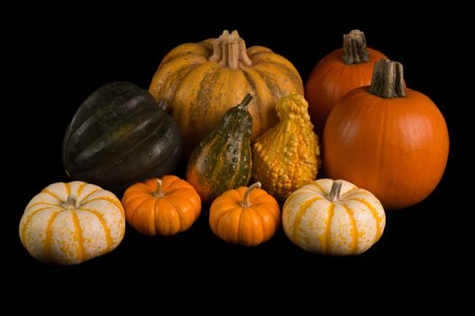 Cornucopia of fresh pumpkins, squash, apples and pomegranet isolated on black background