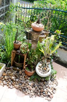 home garden with sanitary ware plant pot