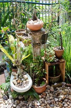 home garden with sanitary ware plant pot