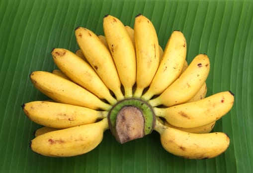 Bunch of bananas on a banana leaf.
