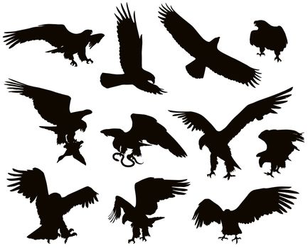 Hunting eagle detailed vector silhouettes set
