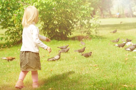 The little girl in a park feeding pigeons photographing outdoors in summer