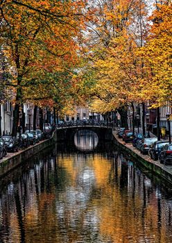 Image of a canal in Amsterdam with beautiful fall trees water reflections.