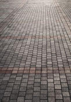 Cobblestone road with color lines in the sunlight