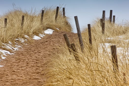 Sand Trail at Minnesota Point, Lake Superior