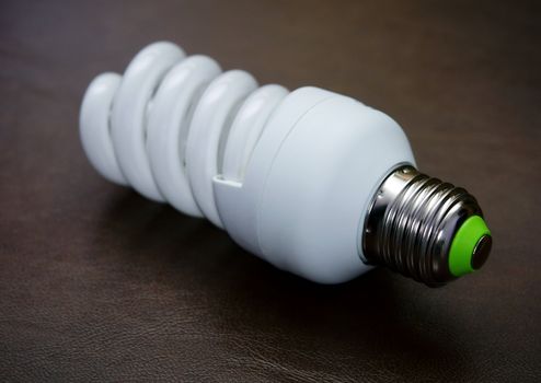 Compact Fluorescent Lightbulb on lether background