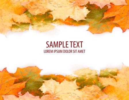 orange autumn leaves frame with space for your text