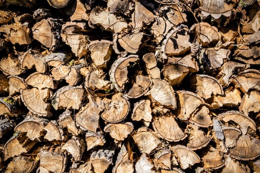 lined up pile of wood for winter heating