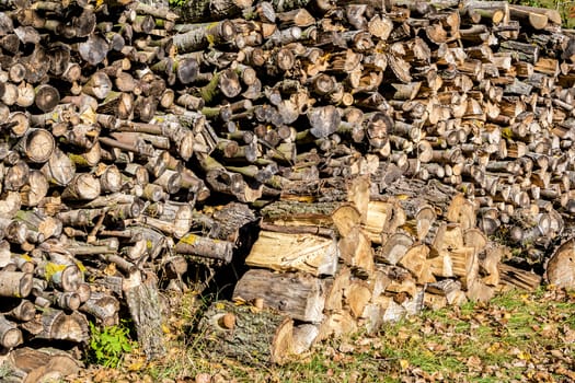 wood in pile outdoor standing in grass at autumn