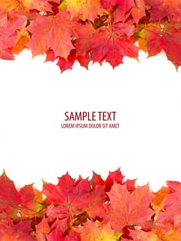 red autumn leaves frame with space for your text