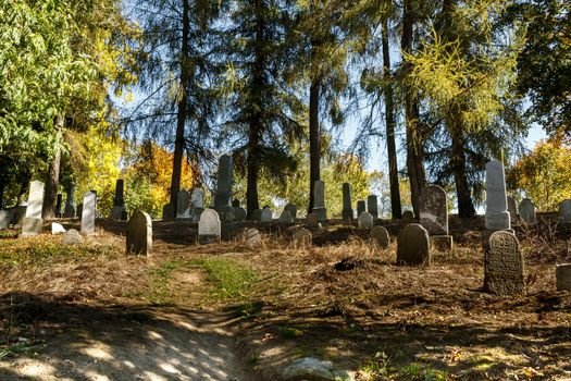 forgotten and unkempt Jewish cemetery with the strangers