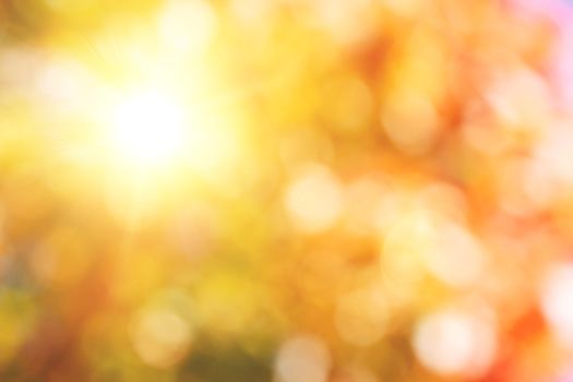 autumnal natural bokeh with sun for background or backdrop