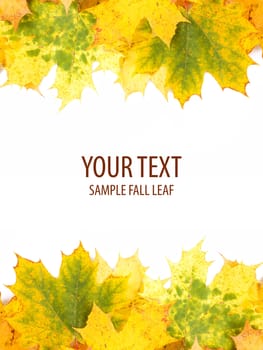 Autumn leaves frame with space for your text