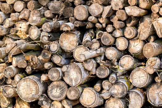 lined up pile of wood for winter heating
