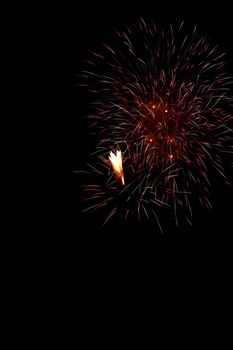 Colorful fireworks on the black sky background