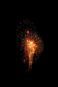 Colorful fireworks on the black sky background