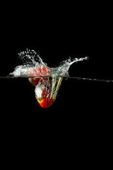 Colored red paprika in water splashes on black background