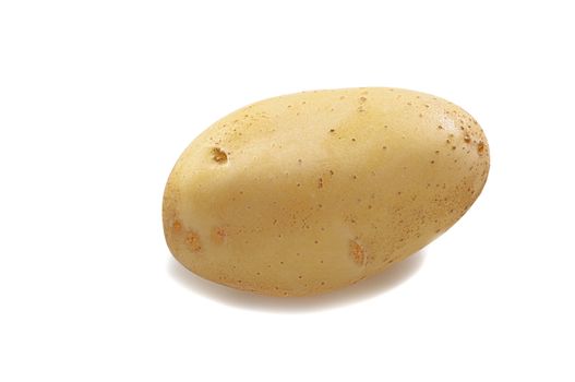 One potato on white background