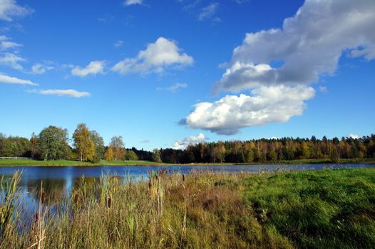 Lake and plants on a background of the blue sky