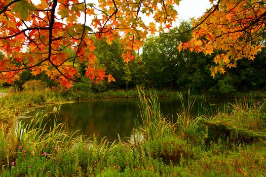 Green grasses, leaves turning orange and the feeling of fall