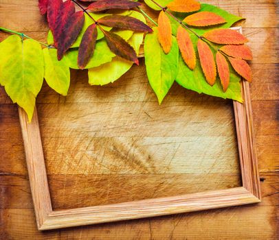 autumn leaves on a wooden surface