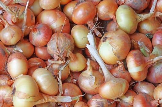 Fresh raw onion after harvest, close up image