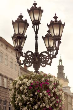 Flower arrangement on street lamp in historical centre of Lvov-City (Ukraine)