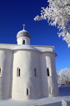 tree in snow against christian church