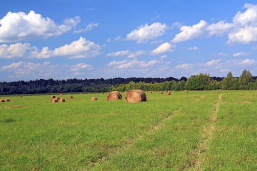 stack hay on summer field