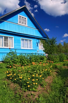 summer flowerses near rural building