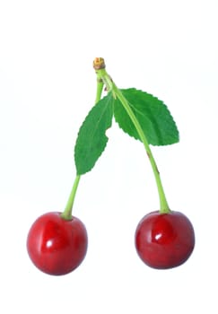 ripe cherry on white background