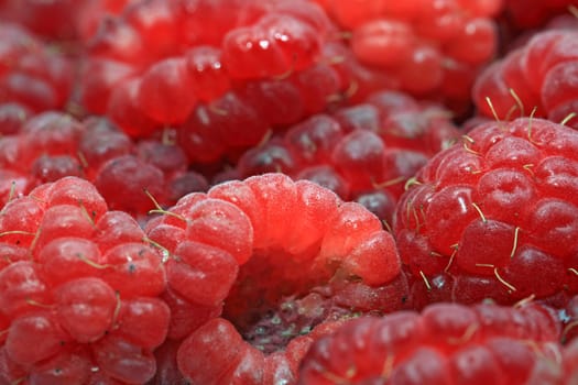 red ripe raspberry