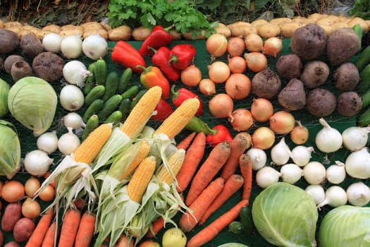 set fruit on rural market