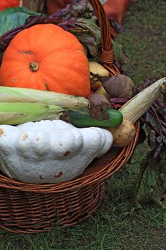 vegetables set on rural market