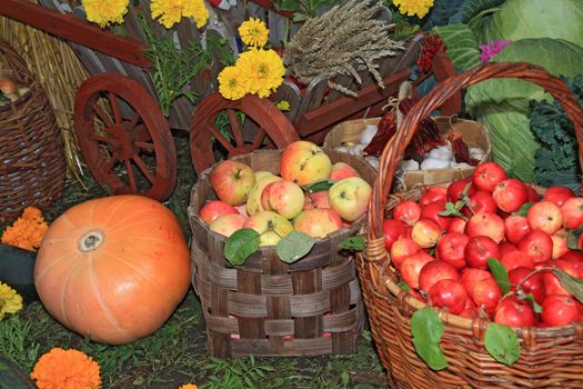 vegetable set on rural market