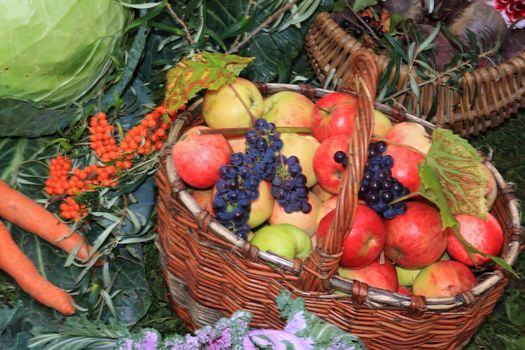 apple in basket on rural market