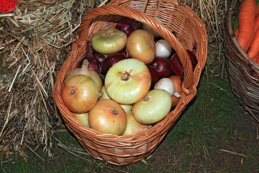 onion in basket on rural market