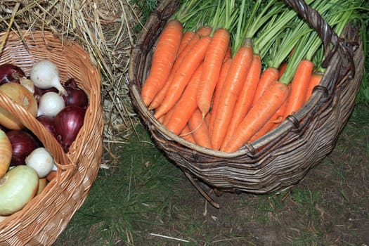 carrot in basket on rural market