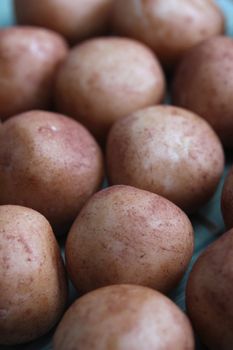 marzipan potatoes