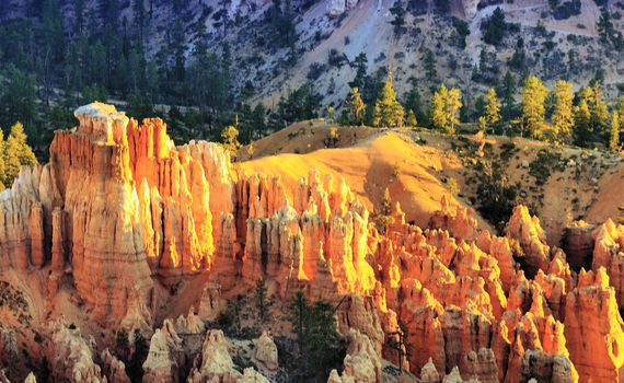 Sunrise backlights an unearthly formation of sandstone cliffs and hoodoos in pink light in Bryce Canyon National Park, Utah